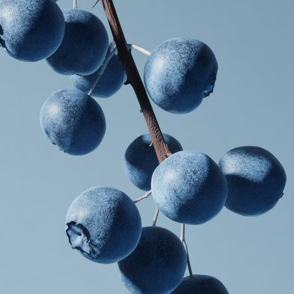 crop-1789558434666.jpg
